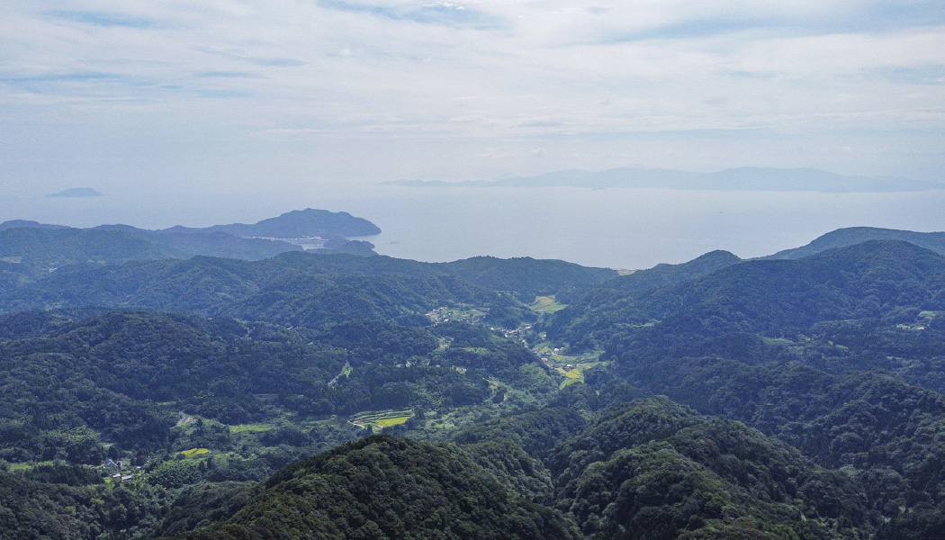 【日ヶ谷】〜イタヤカエデの巨木など、豊かな森とともに生きる地区〜