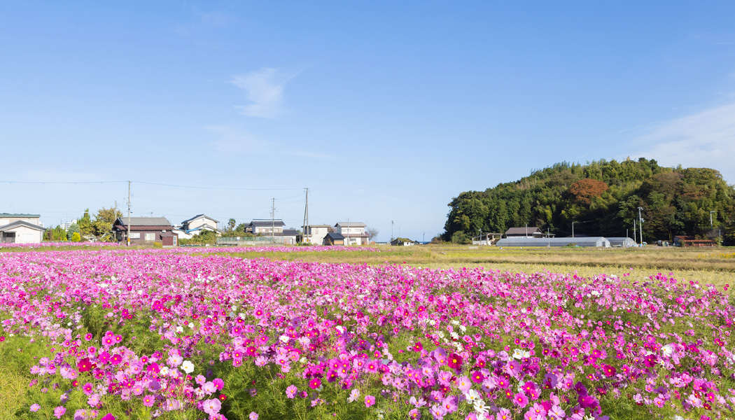 【日置】〜宮津の一大農業地〜